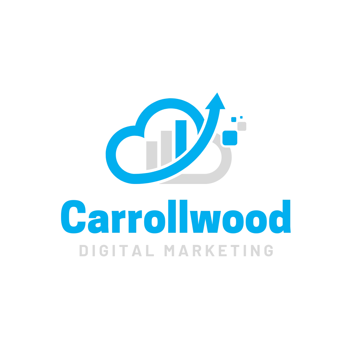 Digital marketing tools and strategies by Carrollwood Digital Marketing driving business growth